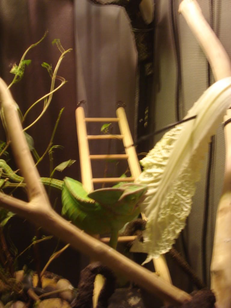Picture878.jpg