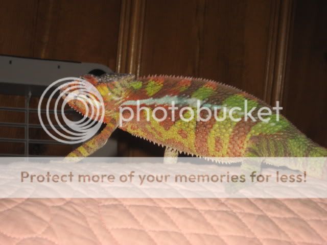 IMG_1579.jpg