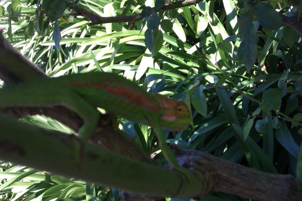 IMAG0618.jpg