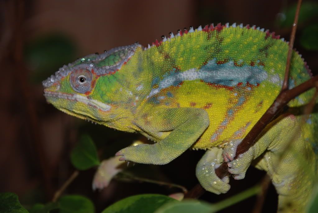 DSC_0263.jpg
