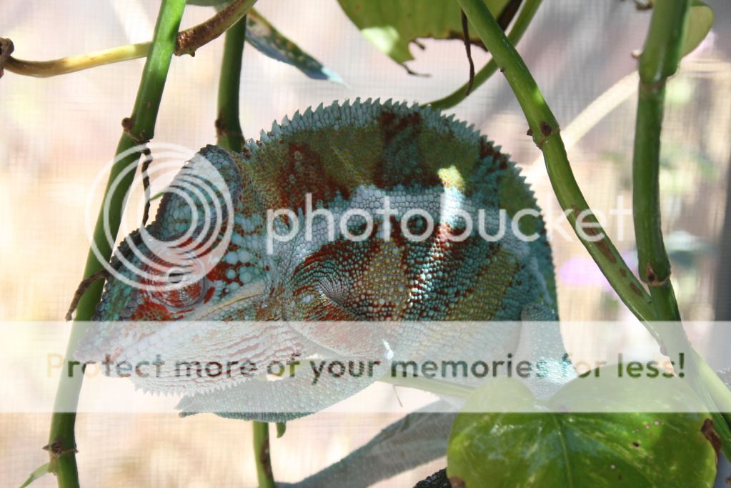 outsidepics012.jpg
