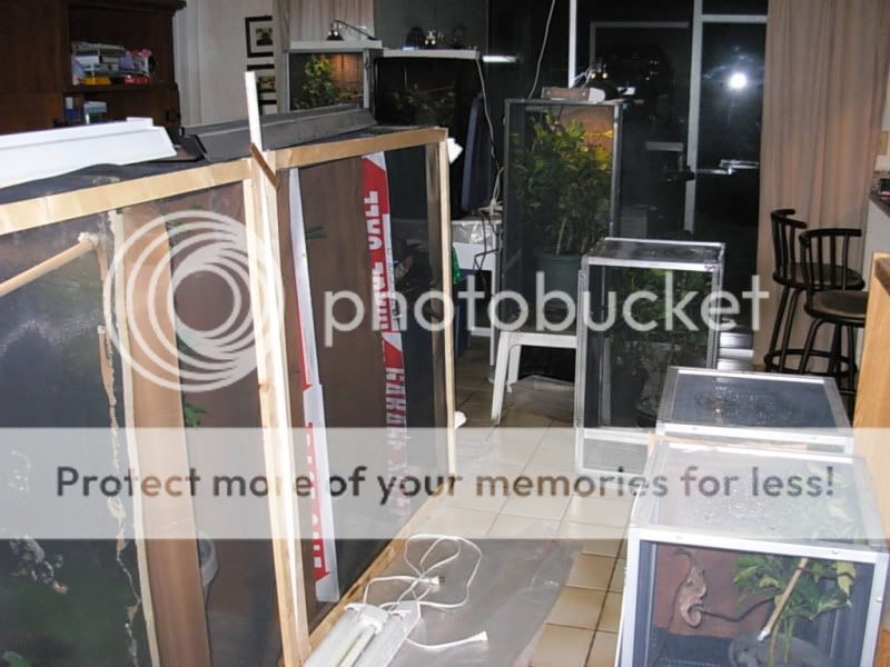 DSCN4349.jpg