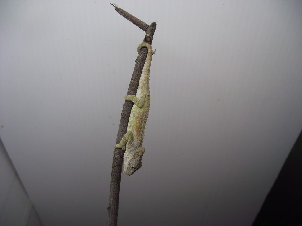 041-3.jpg
