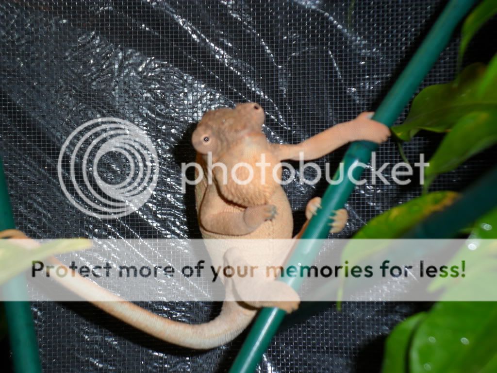 SAM_1261.jpg