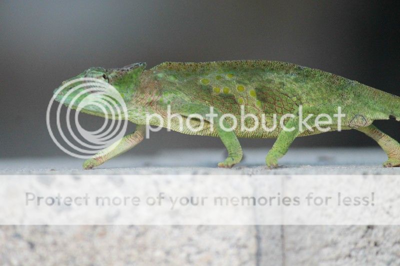 img_0475.jpg