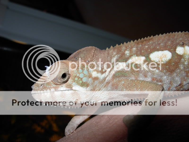 DSCN5807.jpg