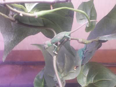 100_1631.jpg