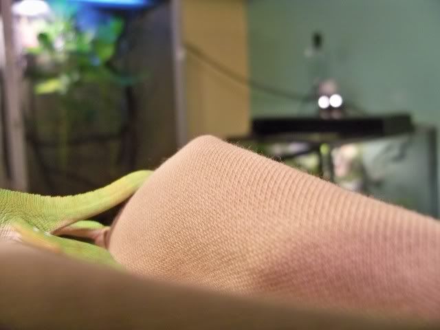 100_0637.jpg