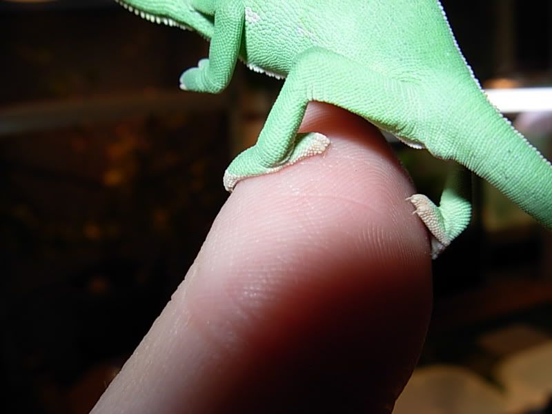 DSCN2179.jpg