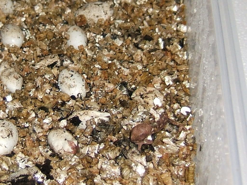 DSCF7728.jpg