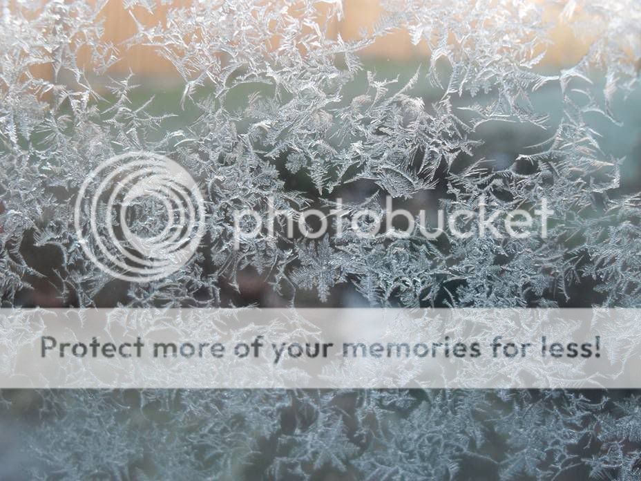 IceCrystals.jpg