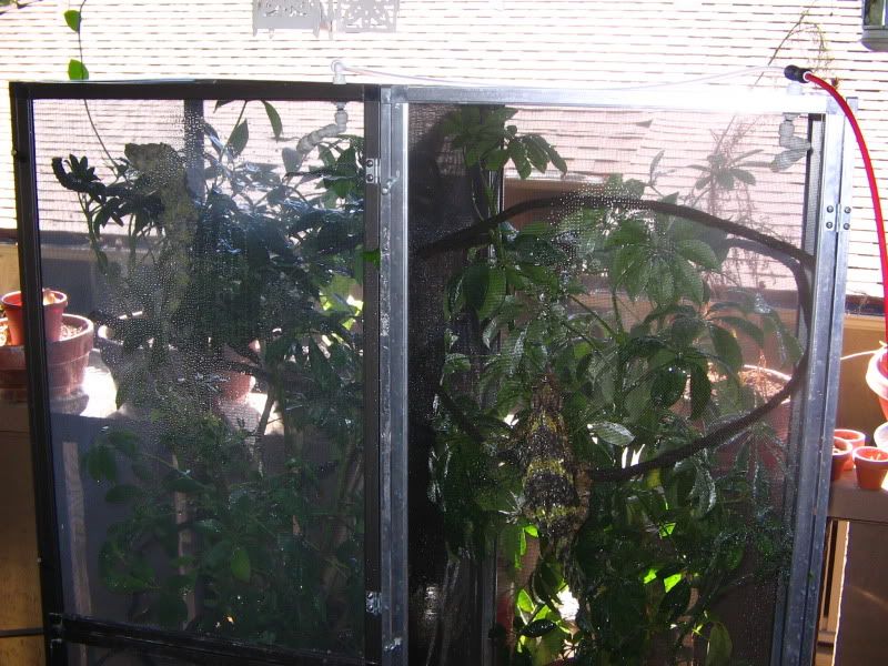 Picture003.jpg