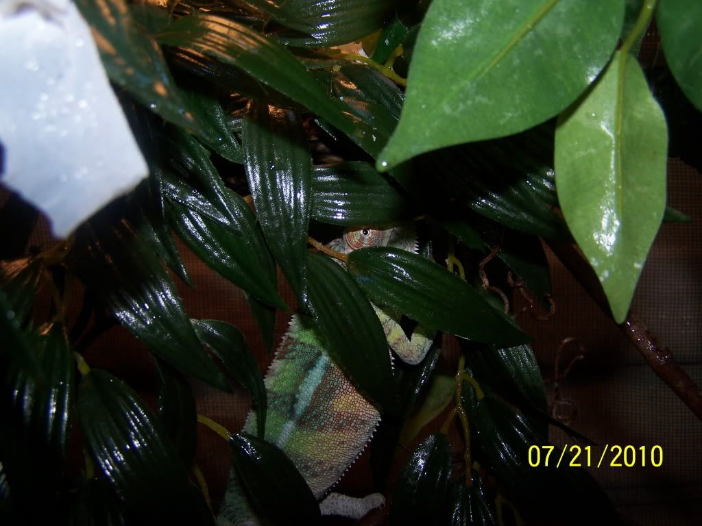 100_3409.jpg