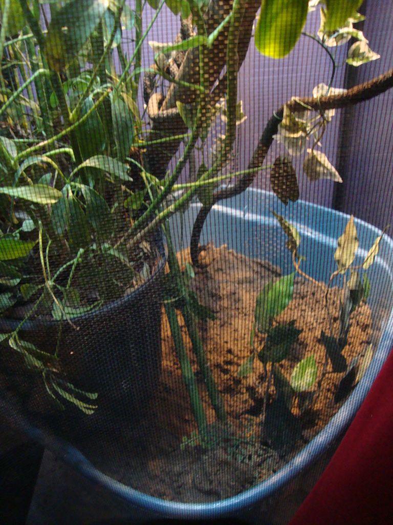 DSC02805.jpg