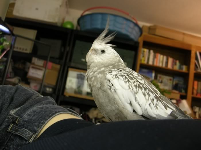 DSCN8546.jpg