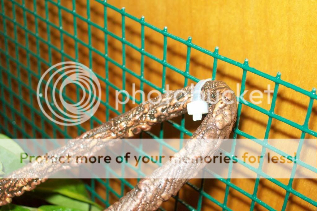 ZipTie1_zps22f90b76.jpg