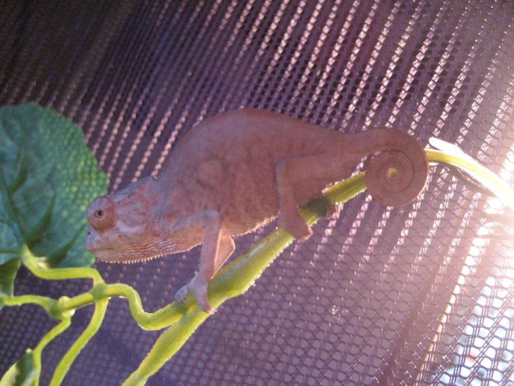 IMG_1856.jpg