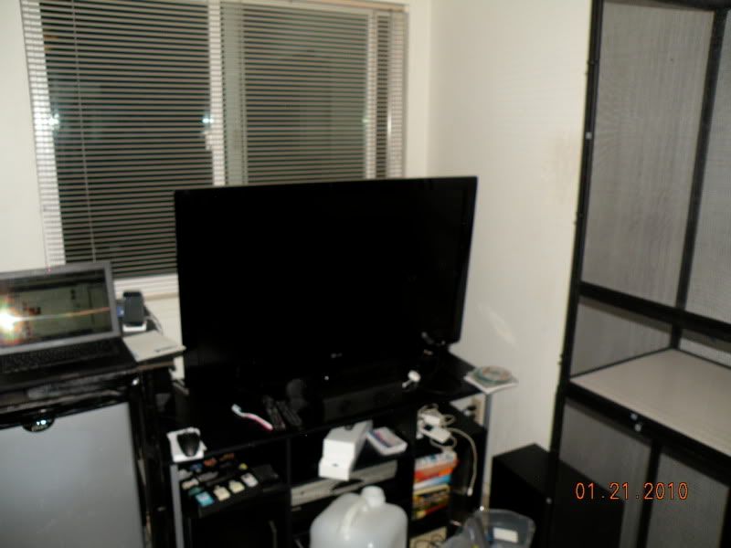 DSCN9713.jpg