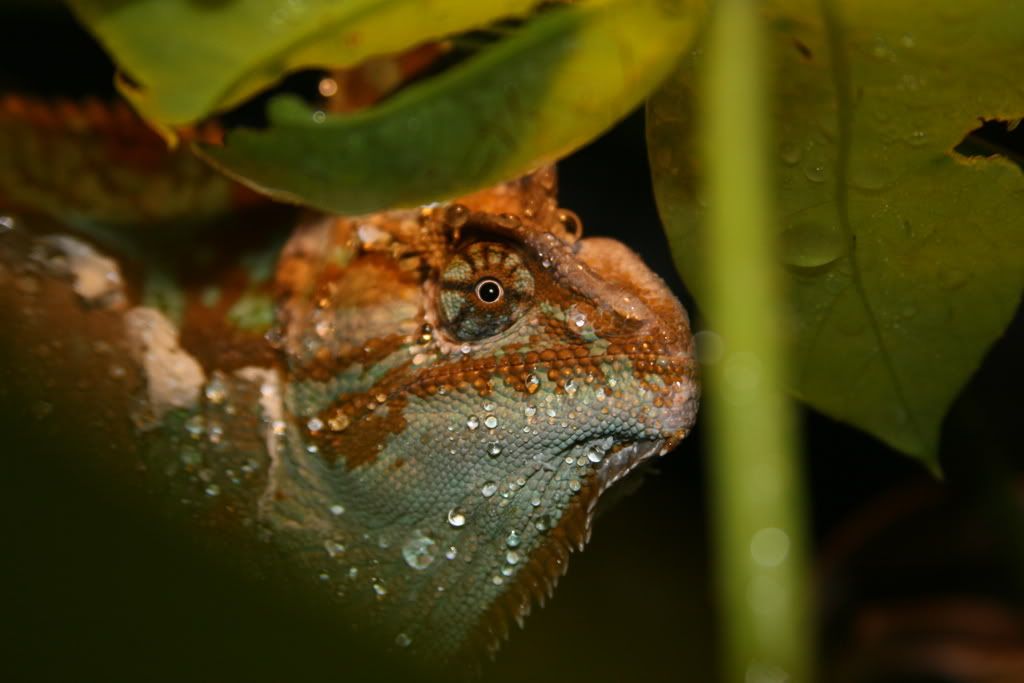IMG_6245.jpg