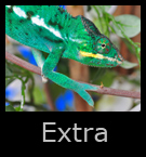 13xtra.jpg