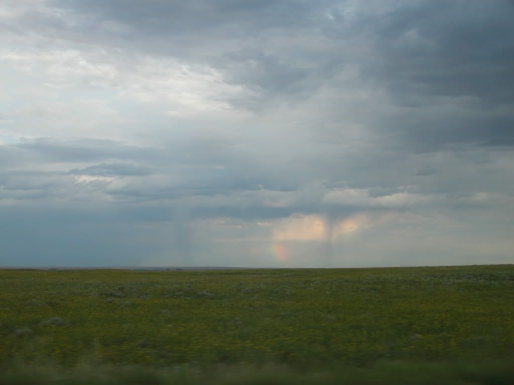 DSCN1014.jpg