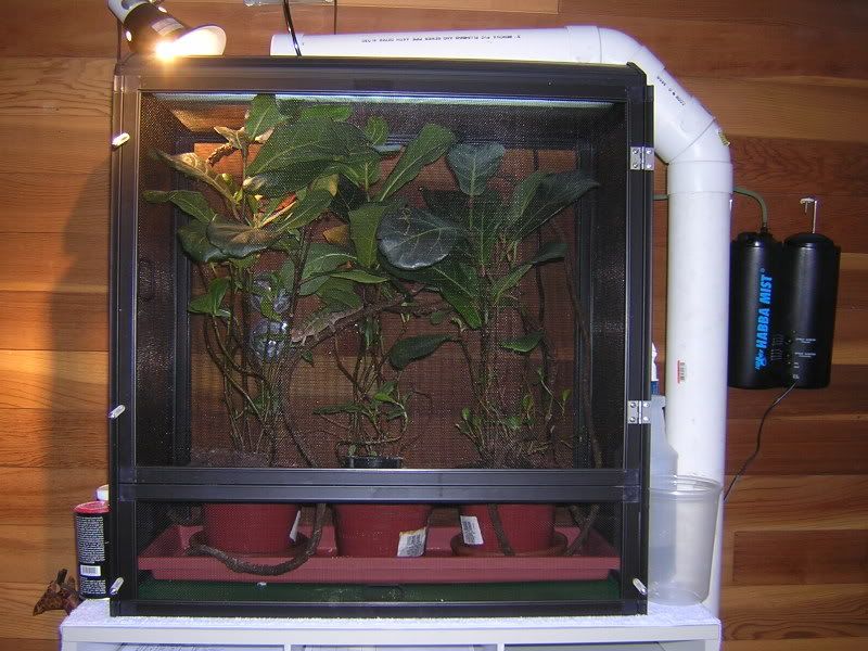 DSCN5038.jpg