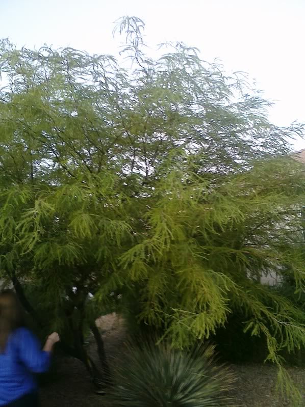 CIMG0031.jpg