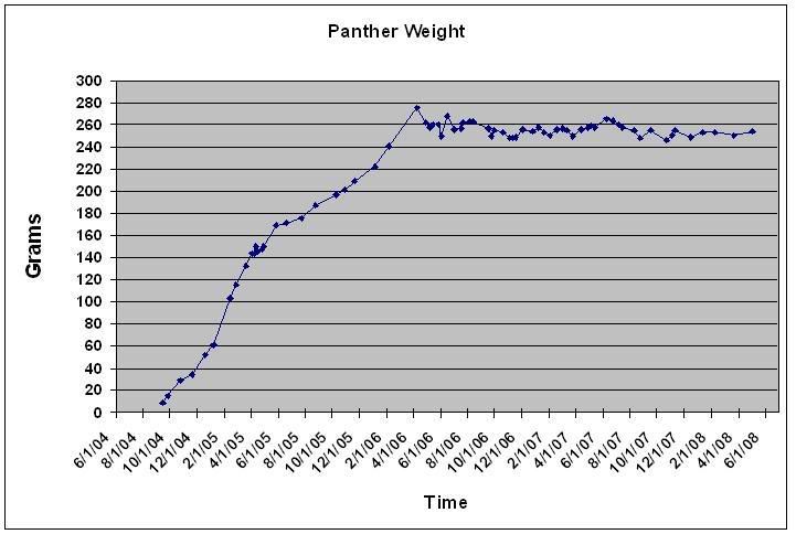 Weight13.jpg