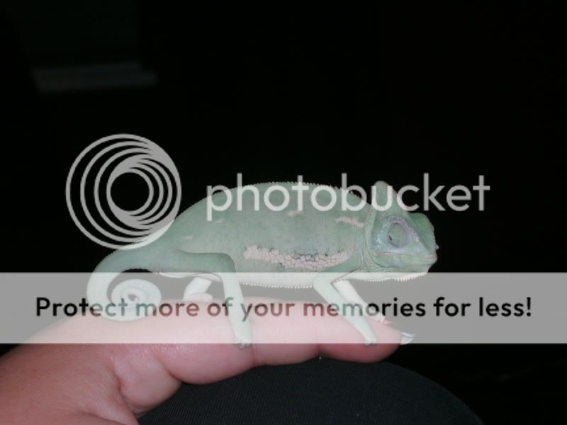 PICT0209.jpg