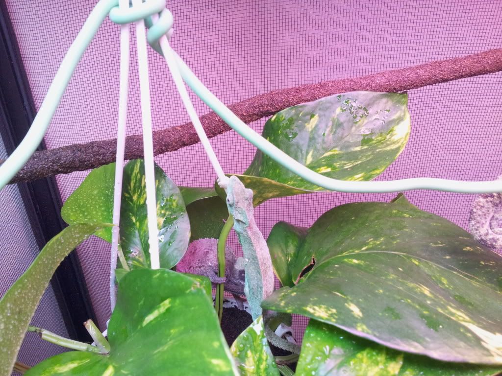 20120308_152359.jpg