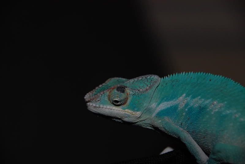 20071029004.jpg