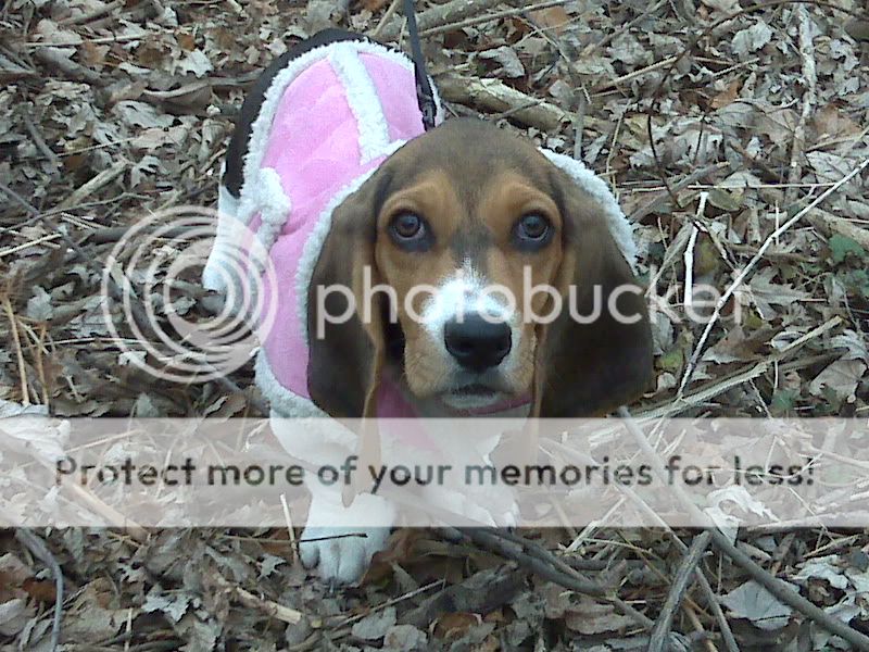 RosieOutside.jpg