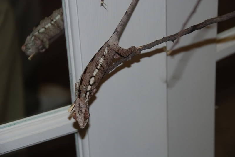 20070913156.jpg