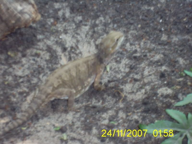005-2.jpg