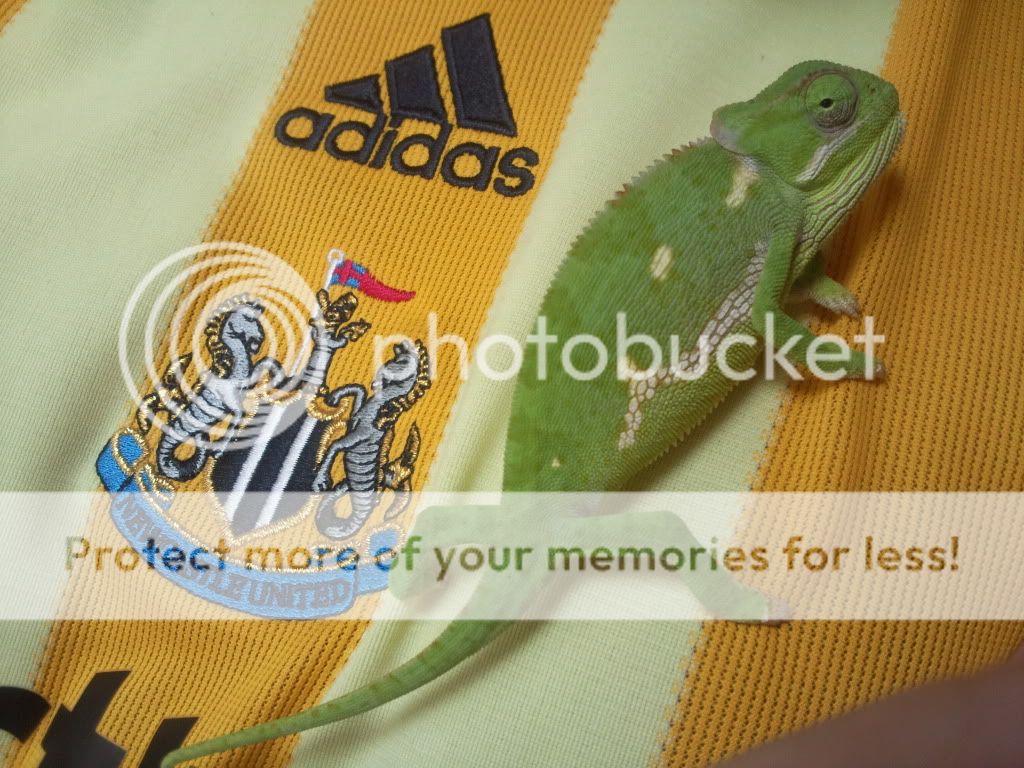 Photo432.jpg