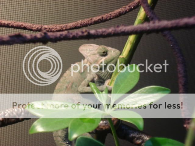 DSC03096.jpg