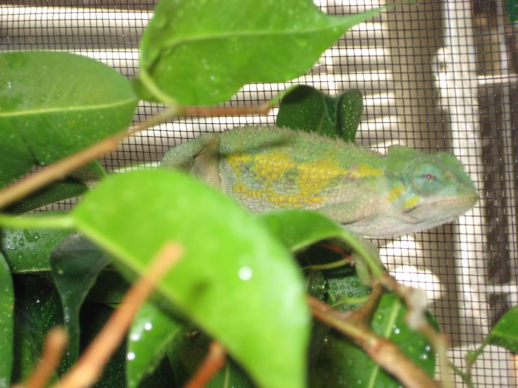 IMG_0598.jpg