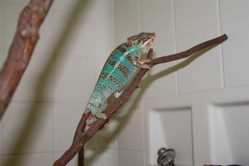 img3839l.jpg