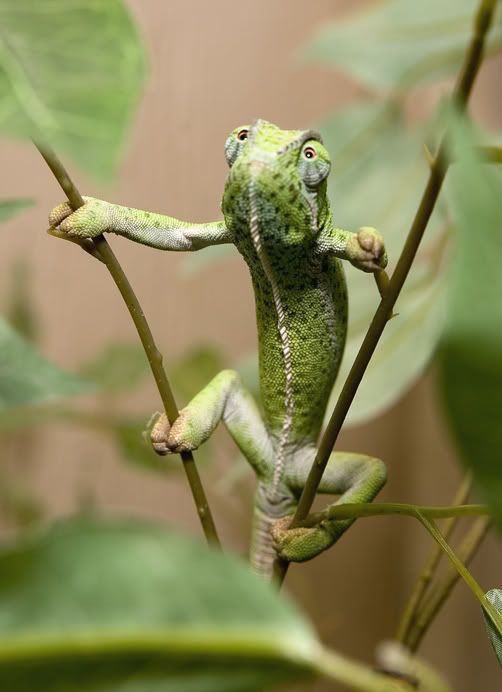 08042011_mort.jpg