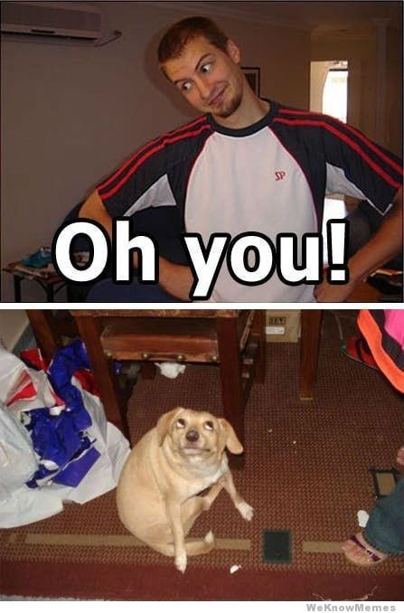 tumblr_m1ifbnJ7eL1rr3rbto1_500.jpg