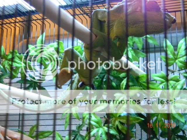 20101116_3.jpg