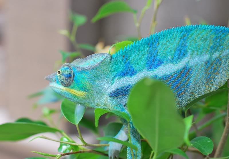 colorrrr.jpg