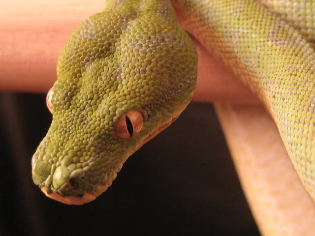 NIckspics047.jpg