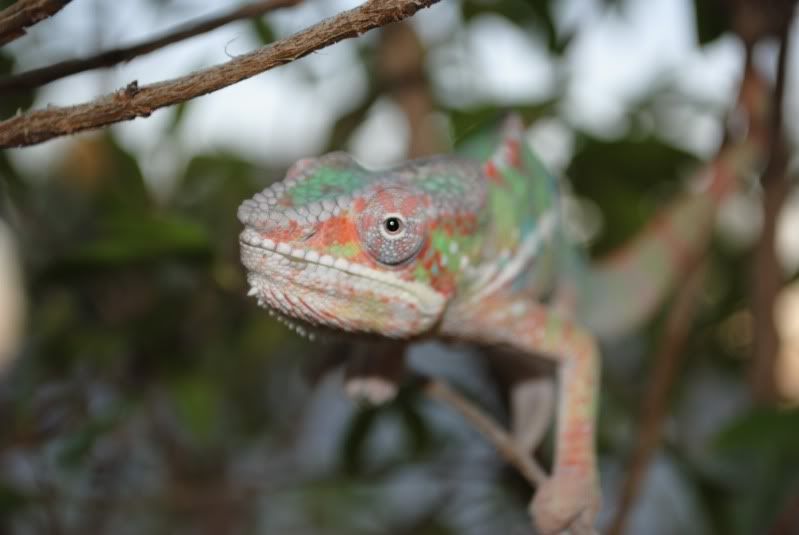 DSC_0211.jpg