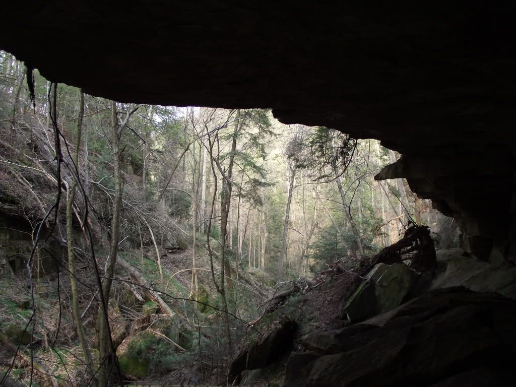 008-4.jpg