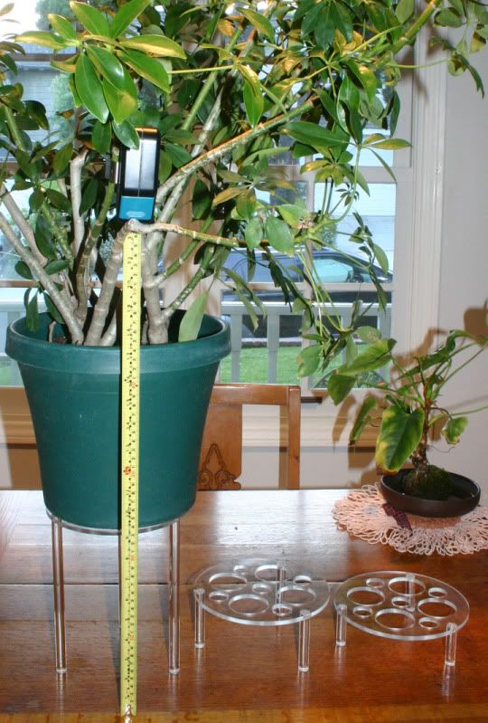 8in3in2inStands-1.jpg