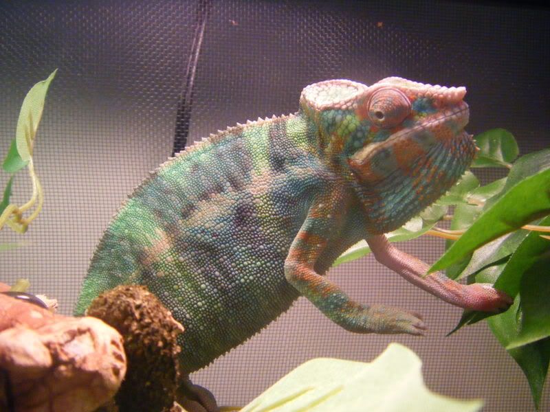sideshot2.jpg