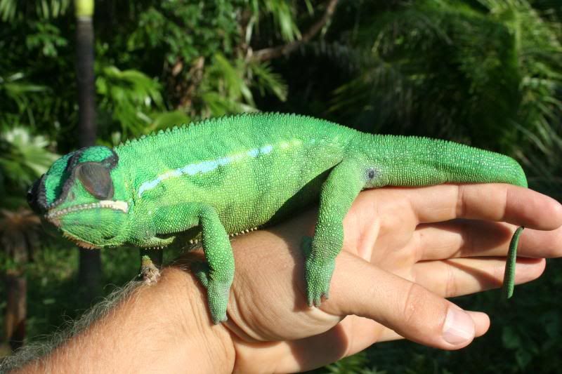 039.jpg