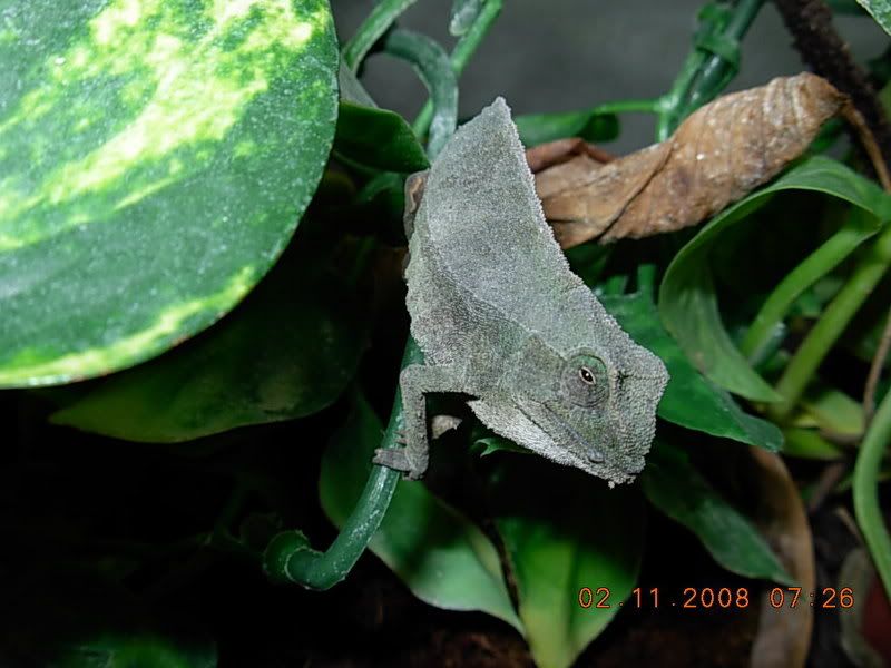 DSCN0495.jpg