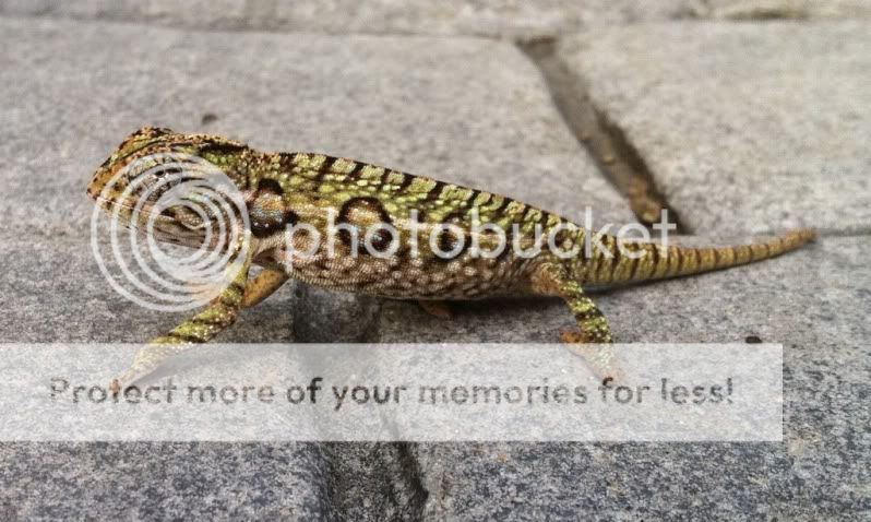 e57ac9c1.jpg